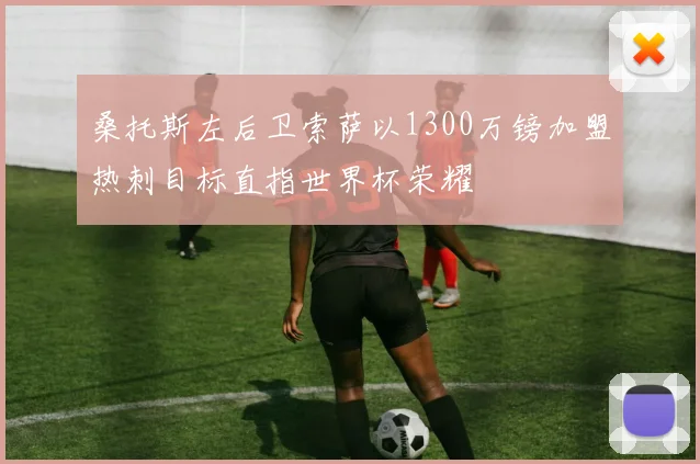 桑托斯左后卫索萨以1300万镑加盟热刺目标直指世界杯荣耀
