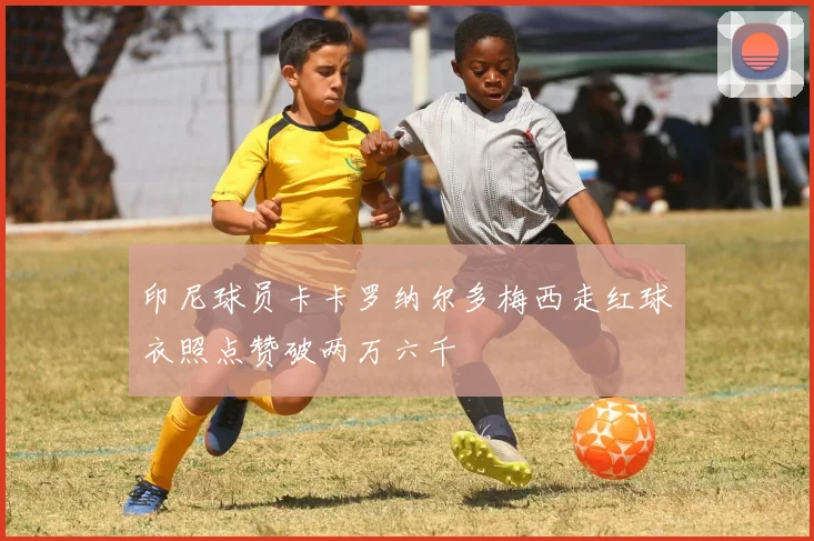 印尼球员卡卡罗纳尔多梅西走红球衣照点赞破两万六千
